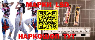 стаф Сланцы