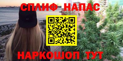 амф Славгород