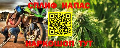 стаф Сланцы