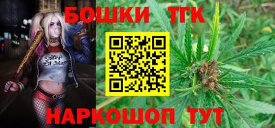 стаф Сланцы