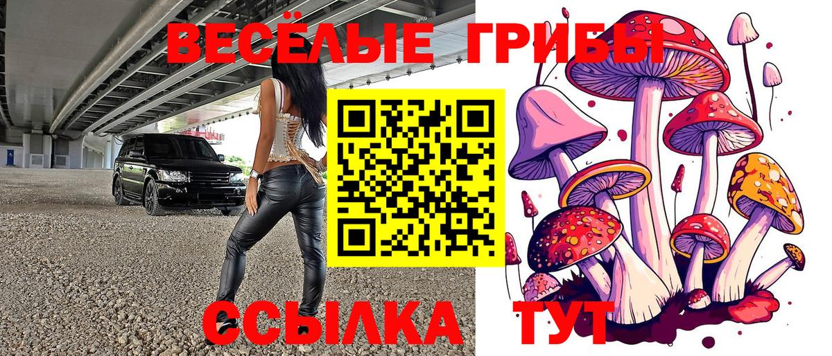 Галлюциногенные грибы Psilocybe Орехово-Зуево