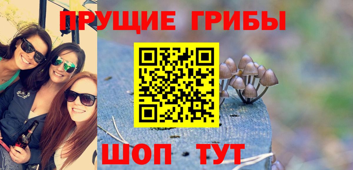 купить наркоту  Вход с VPN  Псилоцибиновые грибы Cubensis  Орехово-Зуево  Галлюциногенные грибы Psilocybe 